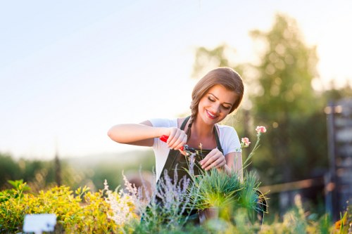 Gardening equipment and tools on lawn by Gardener Gipsy Hill team