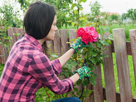Middle stage inspection by gardener examining plants