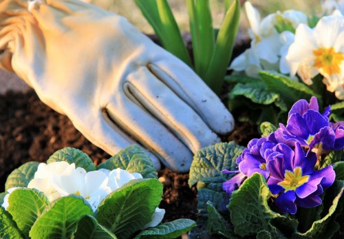 Community members adding food scraps to a compost bay in a low-carbon garden waste area